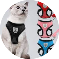 Cat Accessories