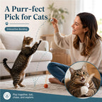 Bouncy Cat Feather Ball Toys – 6 Pack Interactive Silicone Bouncing Balls for Indoor Cats & Kittens, Durable Active Play Toy