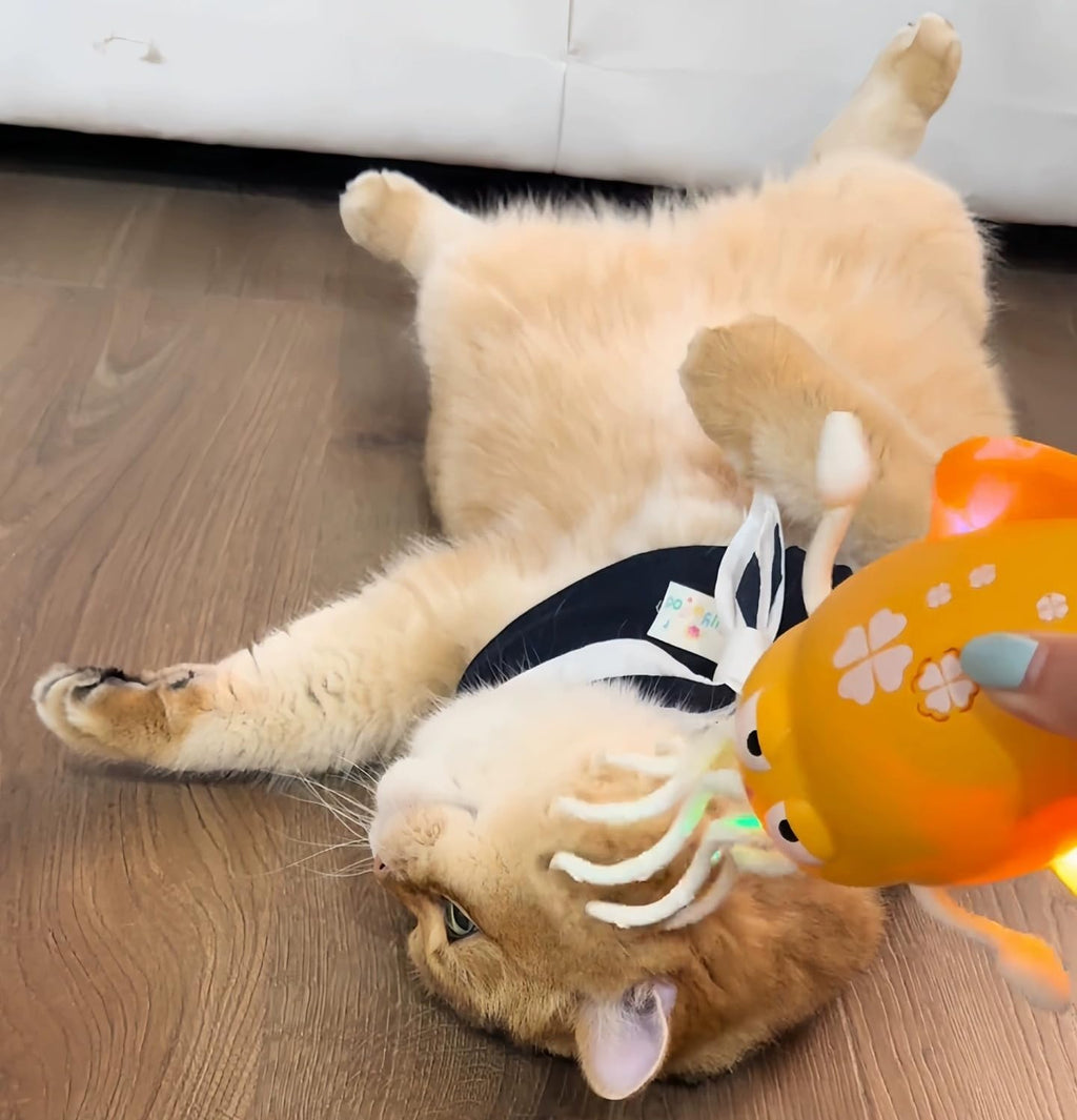 Automatic Octopus Cat Toy with Massage Tentacles, Auto-Dodging & Rolling for Chase Play, Includes Bonus Fishing Rod (Green)